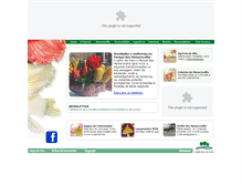 Tablet Screenshot of hemerocallis.com.br